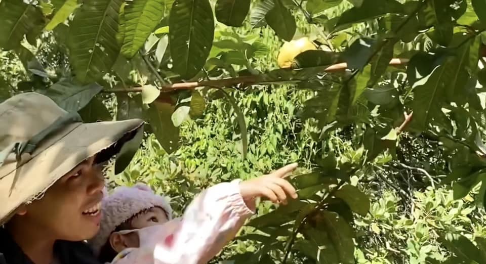 Trào Lưu Bỏ Phố Về Vườn: An Yên Từ Tâm